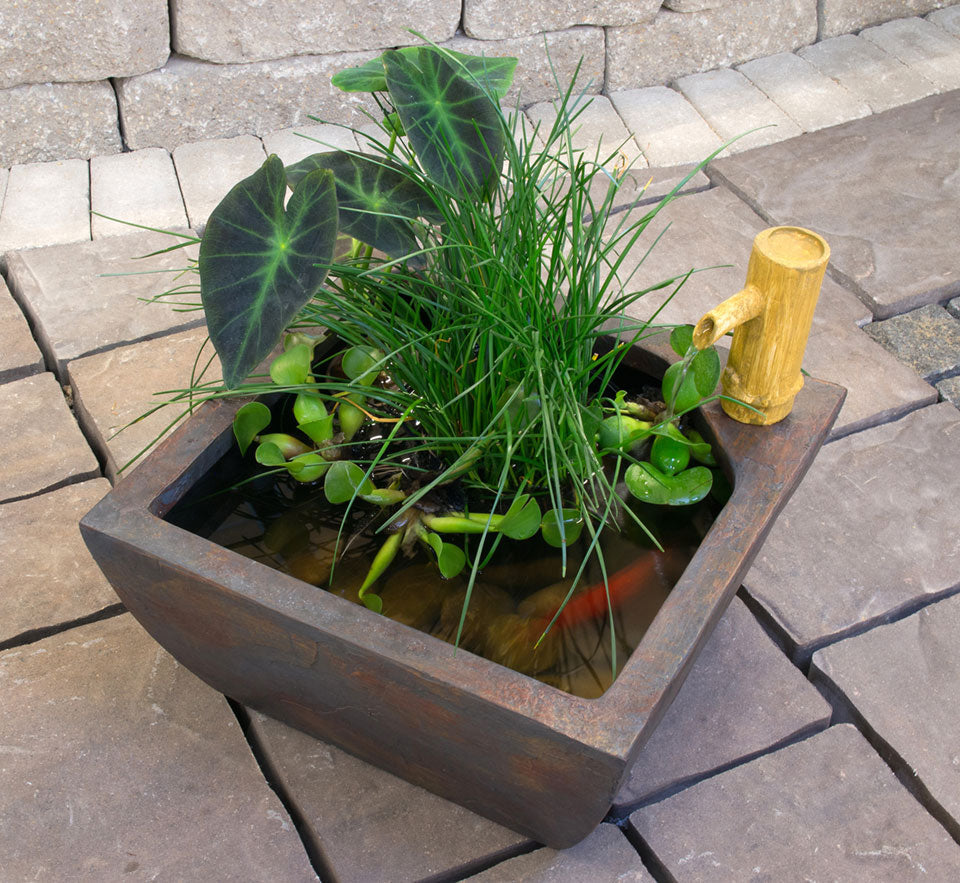 Photo of Aquascape Aquatic Patio Pond Kit - Aquascape Canada