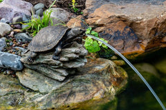 Aquascape turtle on a log spitter