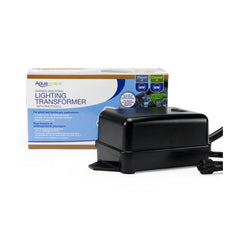 Aquascape Transformers