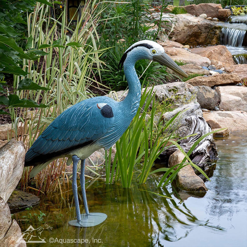 Photo of Aquascape Blue Heron Decoy - Aquascape Canada