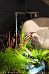 Photo of Aquascape AquaGarden Plant Light - Aquascape Canada