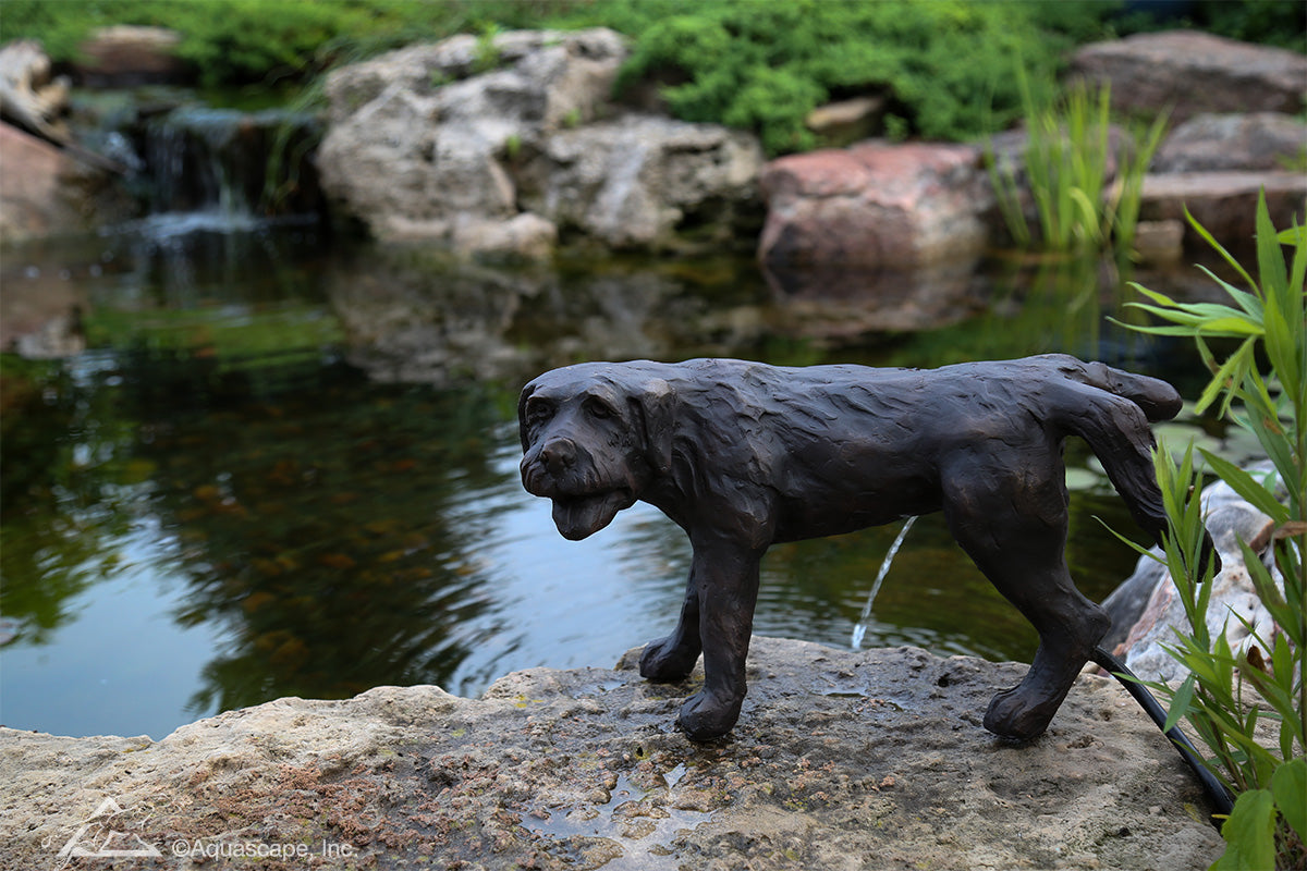Photo of Aquascape Naughty Dog Spitter - Aquascape Canada