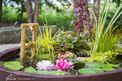 Photo of Aquascape Bamboo Fountains  - Aquascape USA